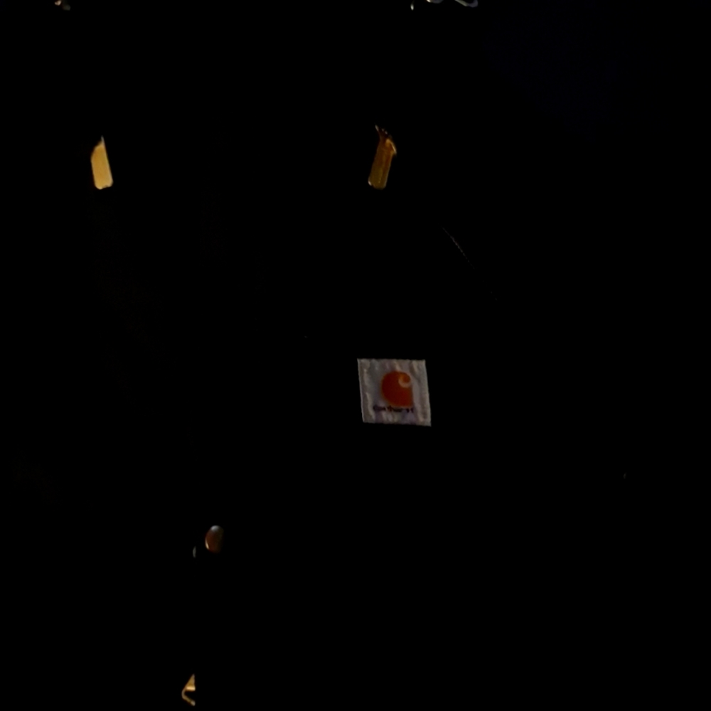 Carhartt bib overalls. Red lined.